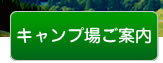 キャンプ場ご案内